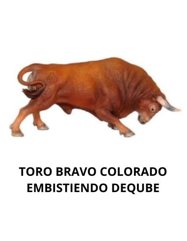 TORO BRAVO COLORADO EMBISTIENDO