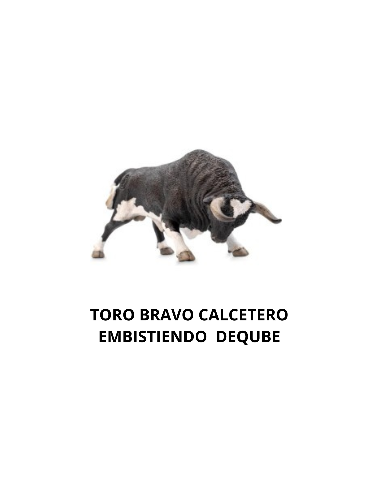 TORO BRAVO CALCETERO EMBISTIENDO