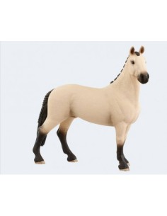 CABALLO CAPON HANNOVEIANO-BAYO