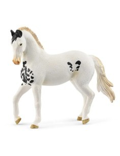 CABALLO SEMENTAL MARWARI